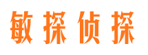 泾川市调查公司